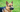Senior German Shepherd Dog Care: Tips for Keeping Your Aging Pup Happy and Healthy - EachPaw
