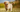 The Complete Guide to Golden Retriever Health Issues and Prevention - EachPaw