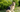 The Healthiest Diet for a German Shepherd Dog: A Vet's Guide - EachPaw