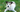 Parson Russell Terrier Exercise Needs: Keeping Your Parson Russell Terrier Fit and Happy