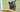 Cairn Terrier Exercise Needs: Keeping Your Cairn Terrier Fit and Happy