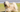 Lhasa Apso Exercise Needs: Keeping Your Lhasa Apso Fit and Happy