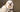 Best Diet for Lhasa Apso: Nutrition Tips and Food Recommendations