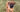 Bullmastiff Temperament: What to Expect from Your Dog