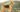Airedale Terrier Temperament: What to Expect from Your Dog