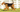 The Ultimate Guide to Airedale Terrier