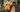 Airedale Terrier Exercise Needs: Keeping Your Airedale Terrier Fit and Happy