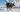 Alaskan Malamute Exercise Needs: Keeping Your Alaskan Malamute Fit and Happy