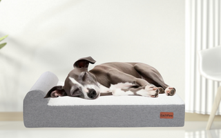 Why Every Dog Deserves the Comfort of an Orthopedic Bed