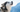 Best Diet for Alaskan Malamute: Nutrition Tips and Food Recommendations