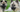 The Ultimate Guide to Keeshond