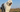 Top 10 Health Concerns for Old English Sheepdog: Prevention and Care