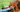 Best Diet for Irish Setter: Nutrition Tips and Food Recommendations