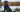 Giant Schnauzer Temperament: What to Expect from Your Dog