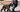 Are the Giant Schnauzer Good with Kids? A Family-Friendly Breed Analysis