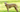 Top 10 Health Concerns for Italian Greyhound: Prevention and Care