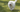 Best Diet for Great Pyrenees: Nutrition Tips and Food Recommendations