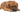 The Ultimate Guide to Dogue de Bordeaux