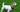 Parson Russell Terrier Temperament: What to Expect from Your Dog