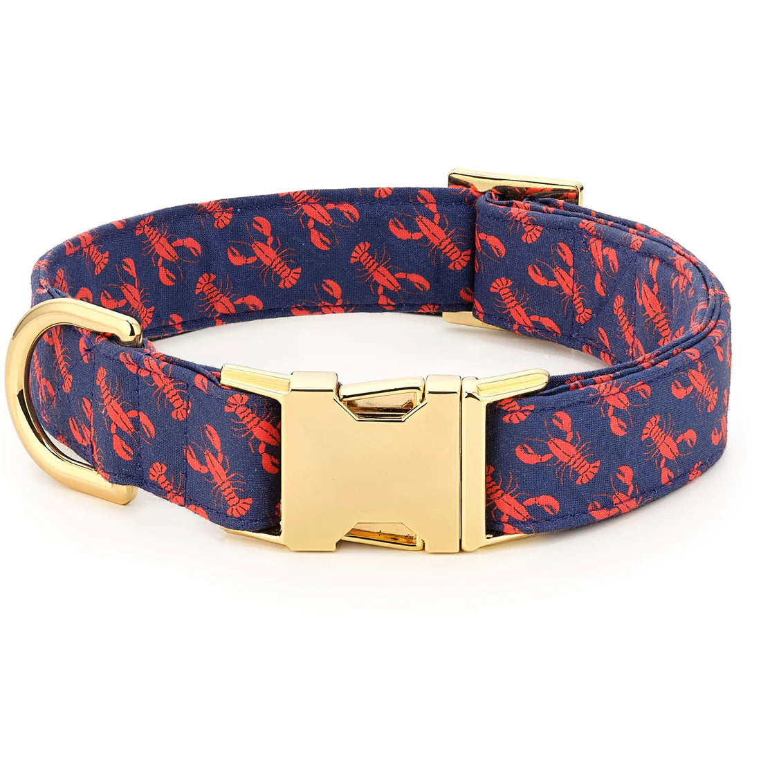 Designer Dog Collar - EachPaw