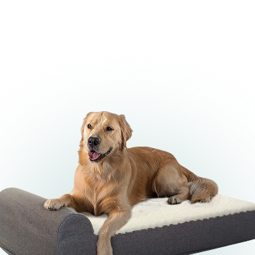 <p>What’s inside the cloudluxe bed?</p>