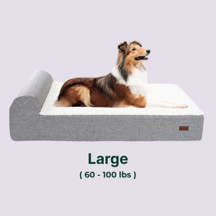 Large