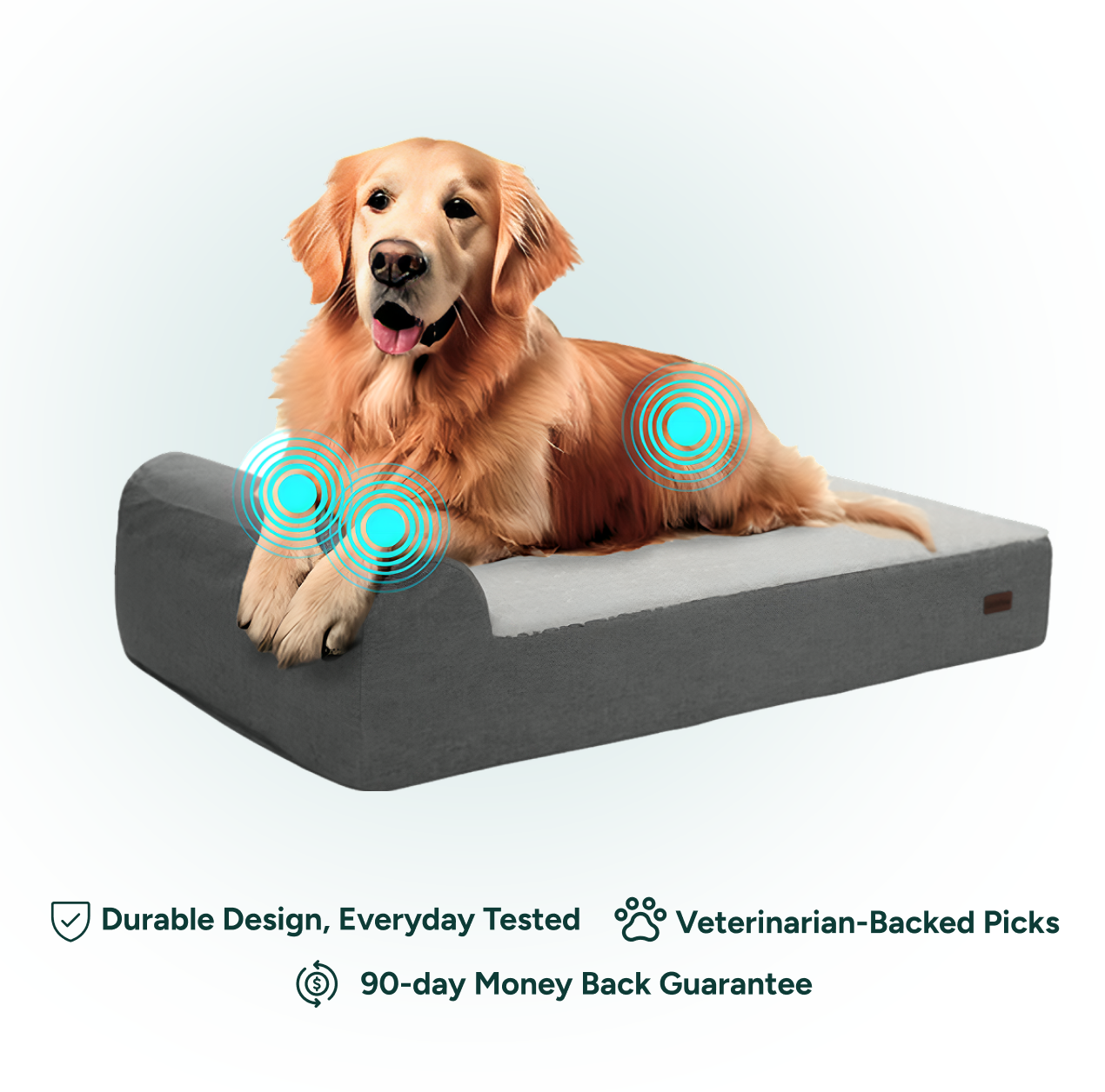 CloudLuxe Orthopedic Bundle