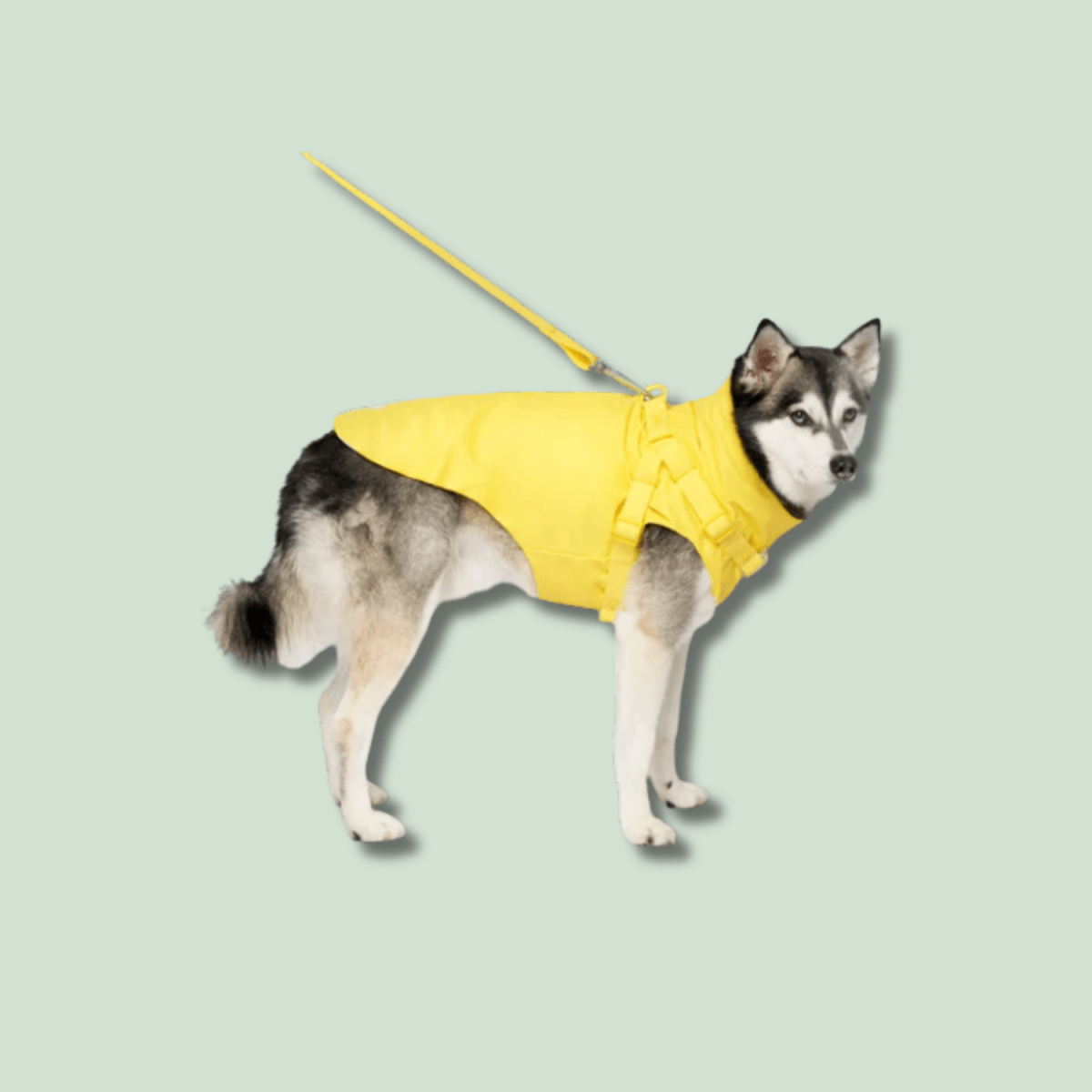 Dog Harness Raincoat - EachPaw