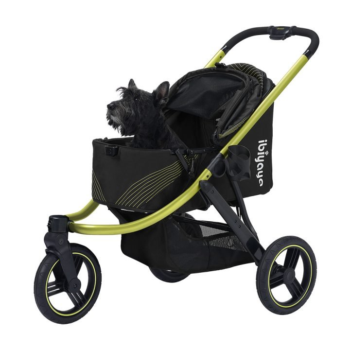 Ibiyaya Jogger - EachPaw