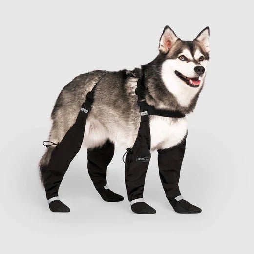 Suspender Dog Boots - EachPaw