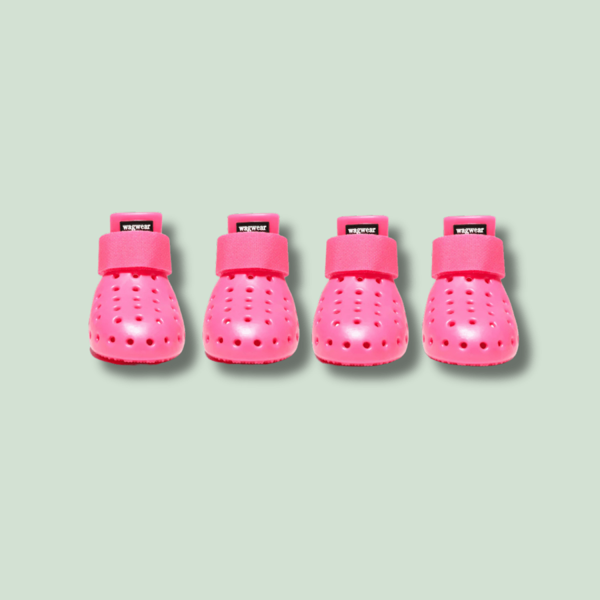 Dog Shoes