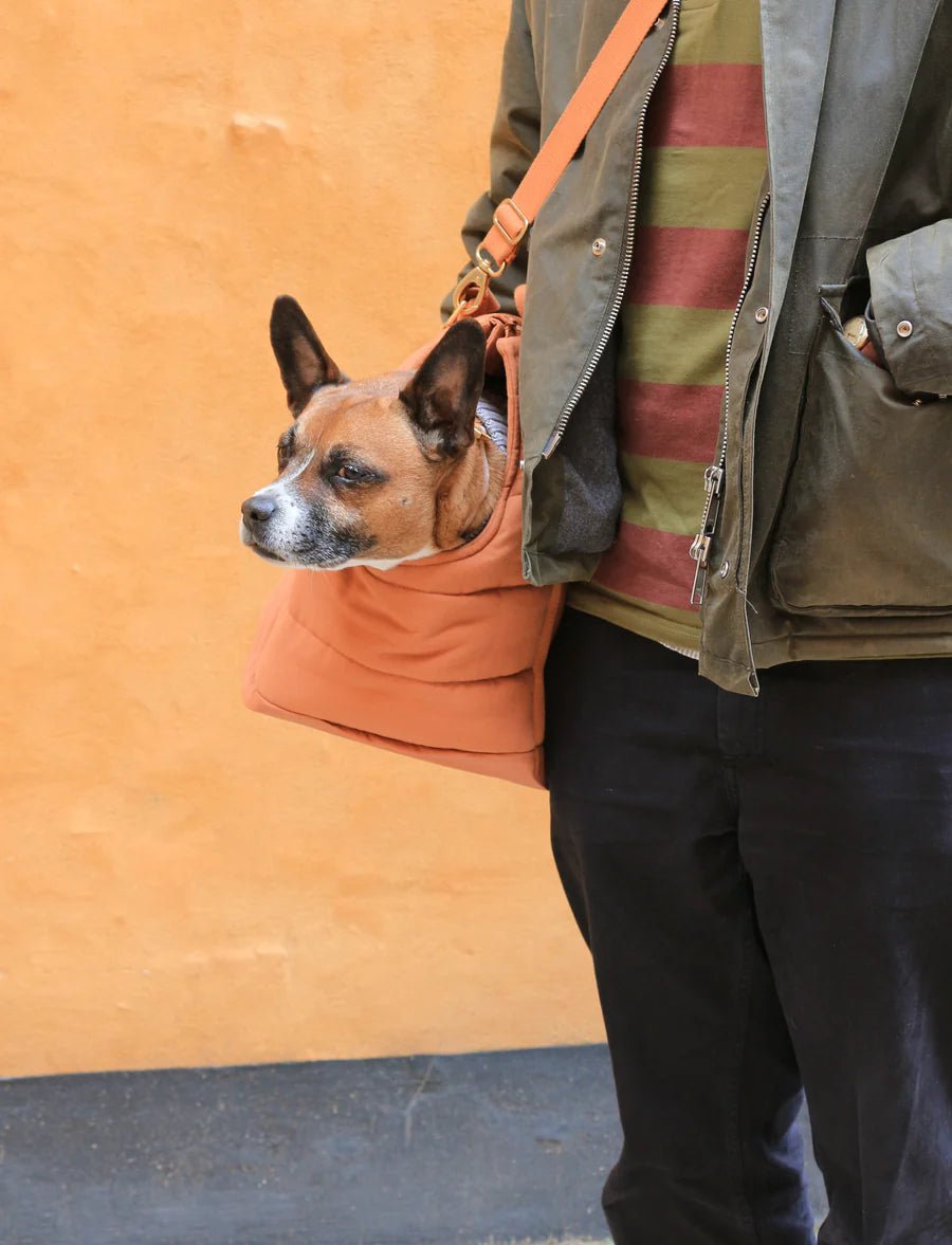 Rio Dog Carrier - EachPaw