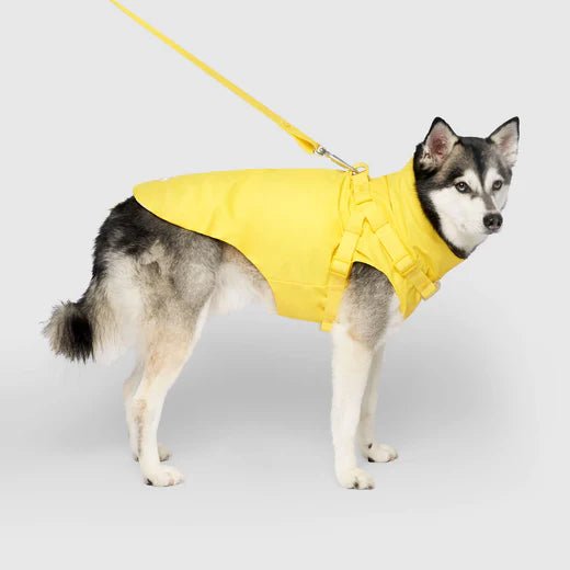 Dog Harness Raincoat - EachPaw