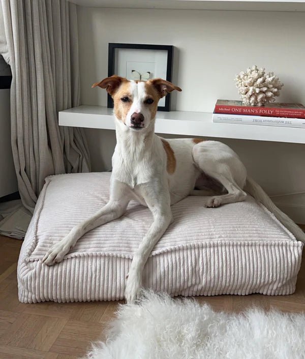 Cuadra Dog Bed - EachPaw