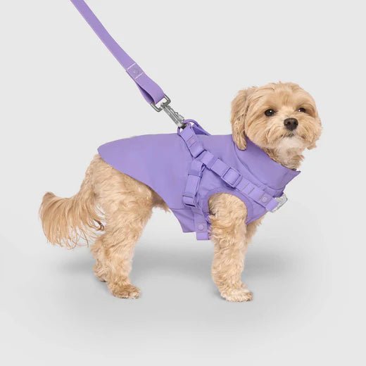 Dog Harness Raincoat - EachPaw