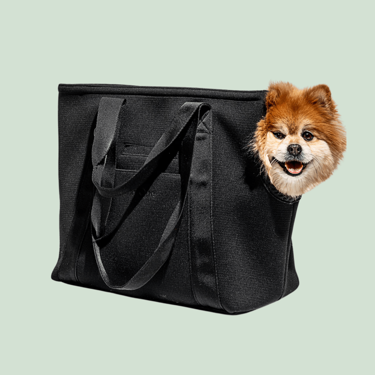 Everyday Carrier - EachPaw