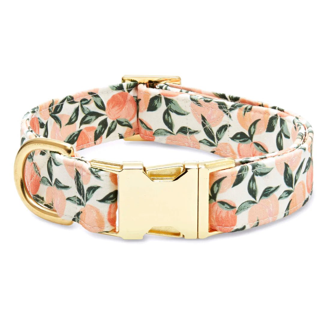 Designer Dog Collar