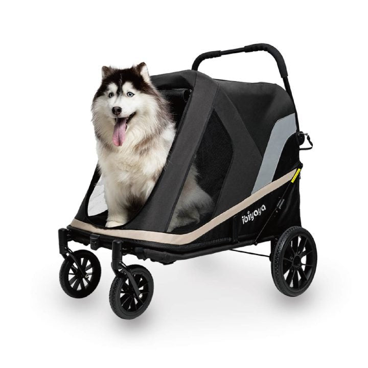 Ibiyaya Grand Cruiser - EachPaw