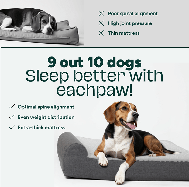 CloudLuxe Orthopedic Bundle - EachPaw