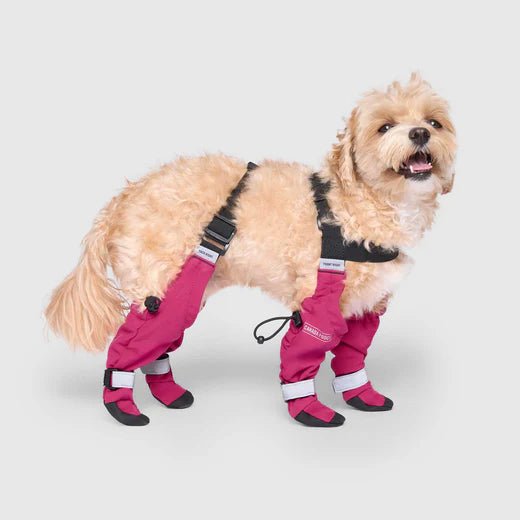 Suspender Dog Boots - EachPaw