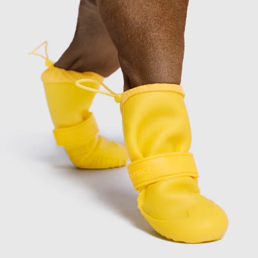 Waterproof Dog Shoes