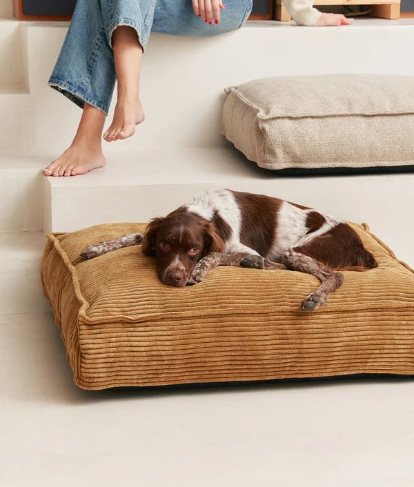 Cuadra Dog Bed