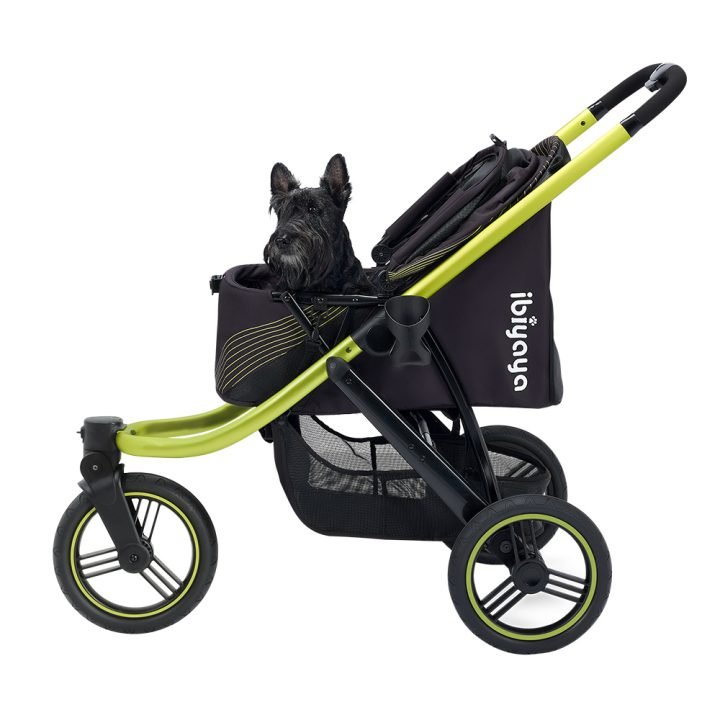 Ibiyaya Jogger - EachPaw