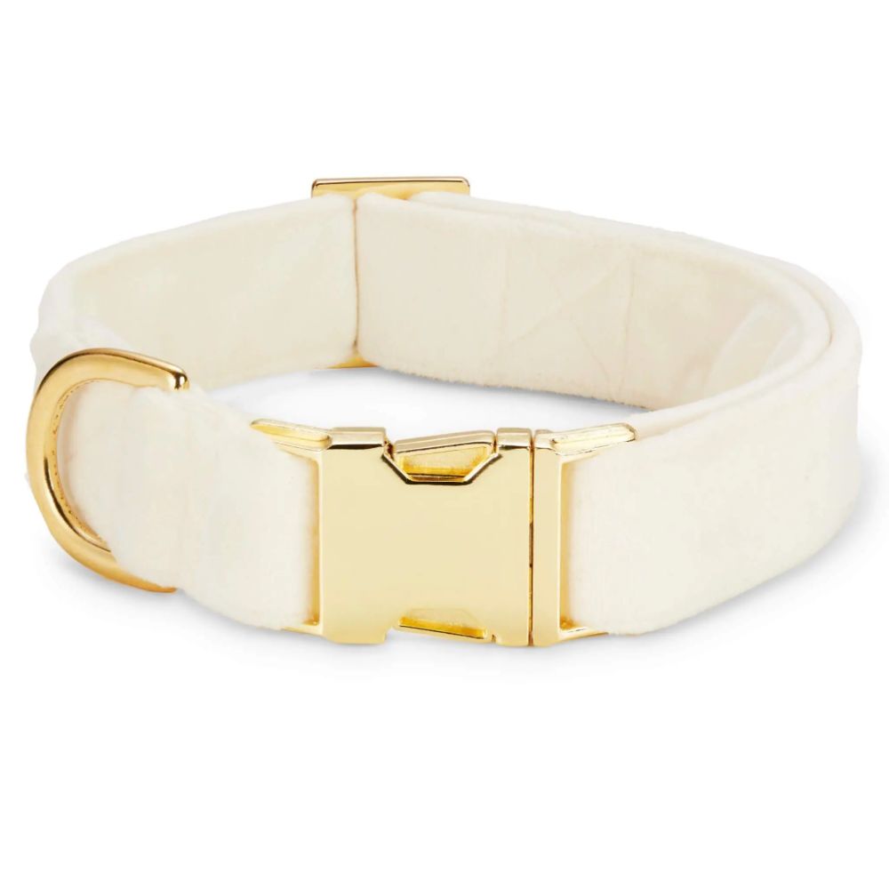 Velvet Dog Collar - EachPaw