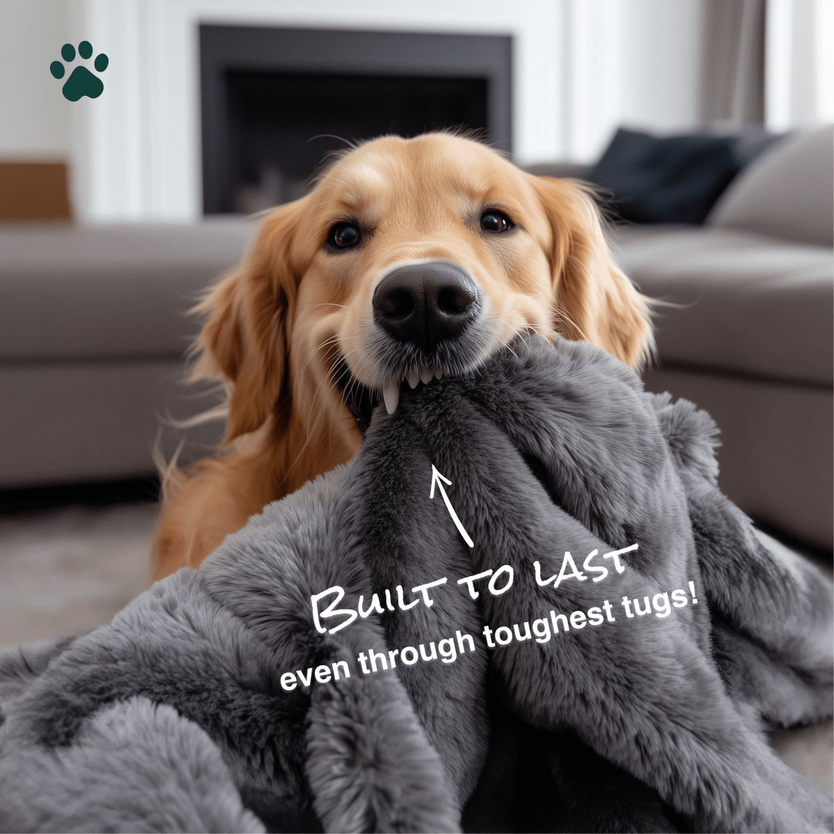 Plush Slate Blanket - EachPaw