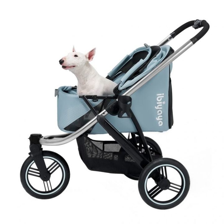 Ibiyaya Jogger - EachPaw