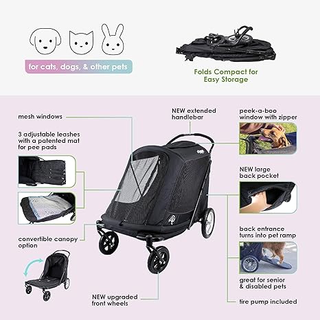 Petique Apollo Elite - EachPaw