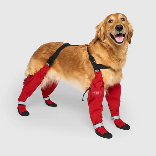 Suspender Dog Boots