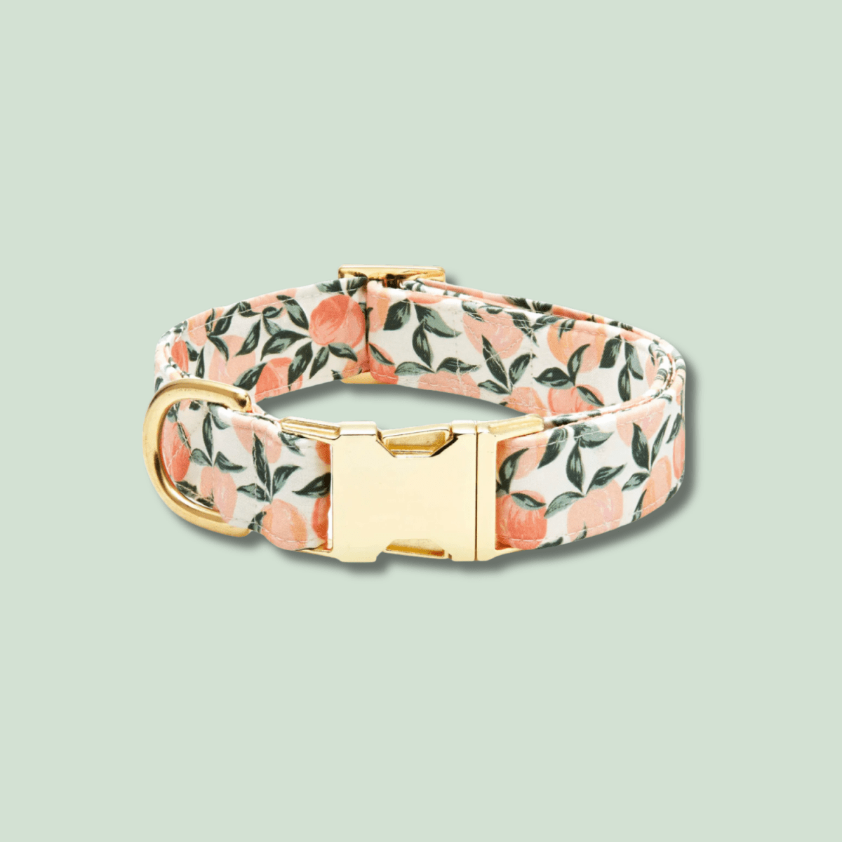 Designer Dog Collar