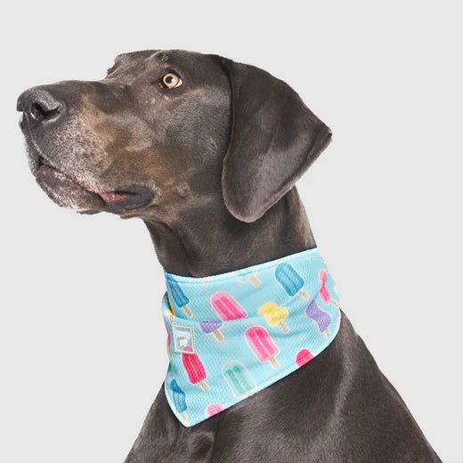 Cooling Bandana
